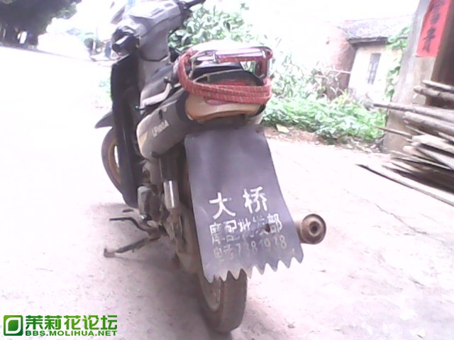 IMG0023A.jpg