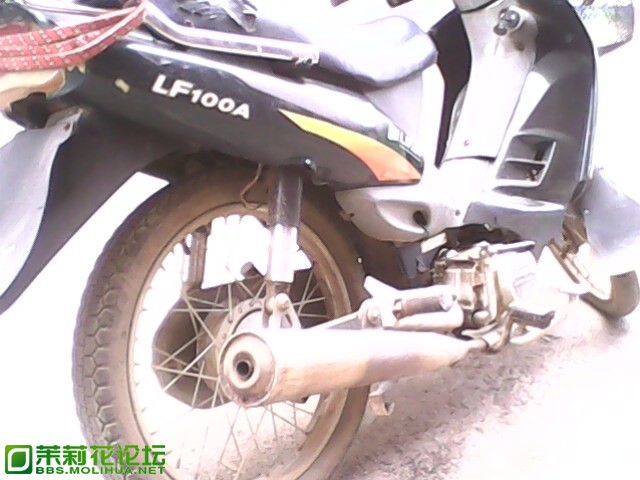 IMG0024A.jpg