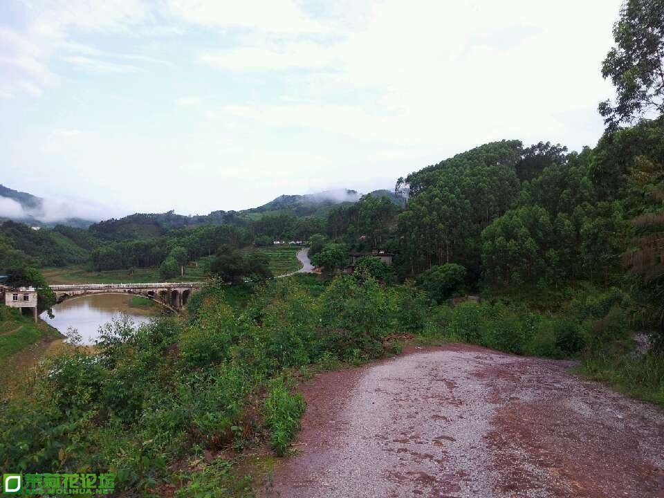 QQ图片20130602081750.jpg