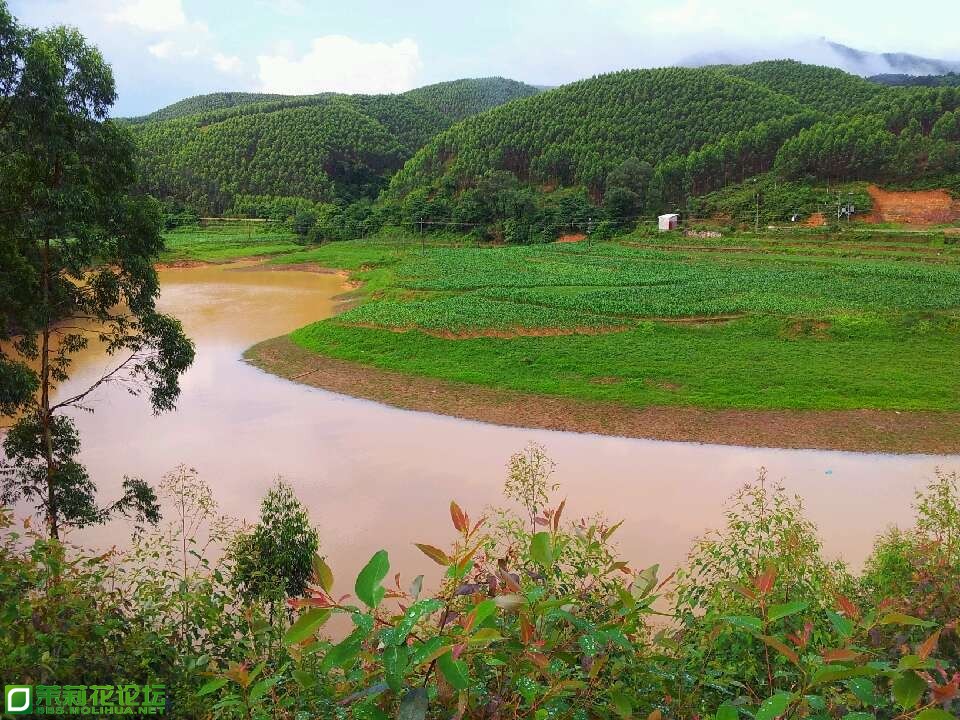 QQ图片20130602081756.jpg