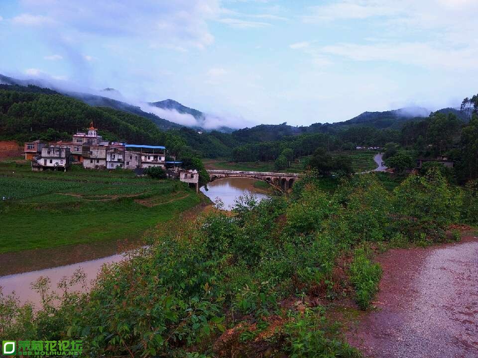 QQ图片20130602081813.jpg