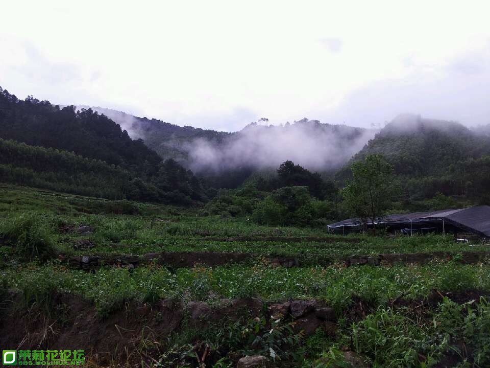 QQ图片20130602081823.jpg