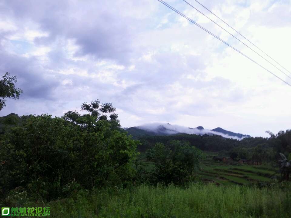 QQ图片20130602081828.jpg
