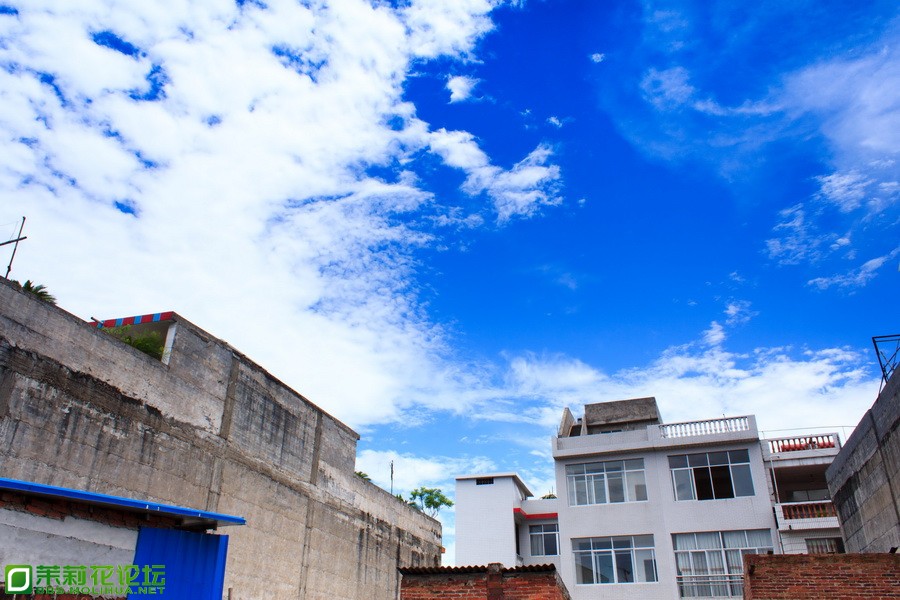 IMG_7031_调整大小.jpg