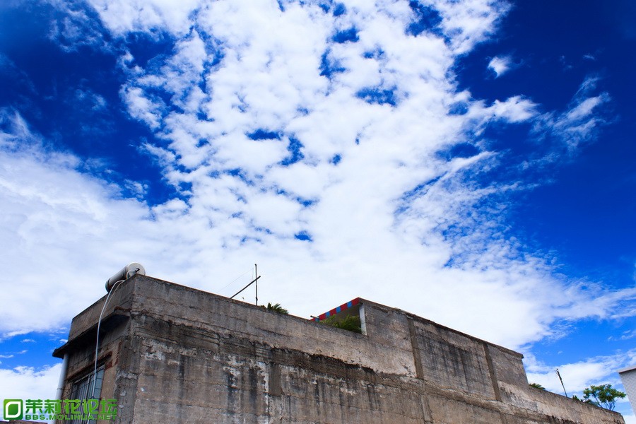 IMG_7032_调整大小.jpg