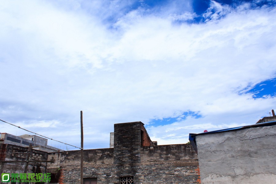IMG_7033_调整大小.jpg