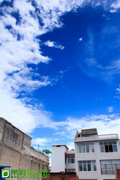 IMG_7037_调整大小.jpg