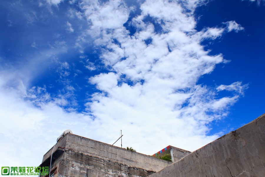 IMG_7041_调整大小.jpg