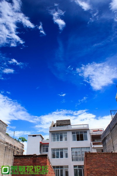 IMG_7045_调整大小.jpg
