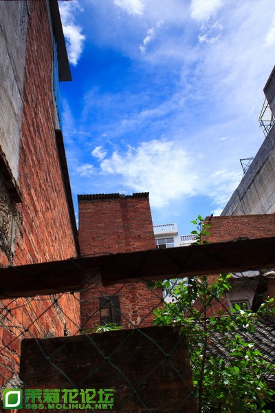 IMG_7046_调整大小.jpg