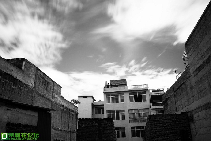 IMG_7049_调整大小.jpg