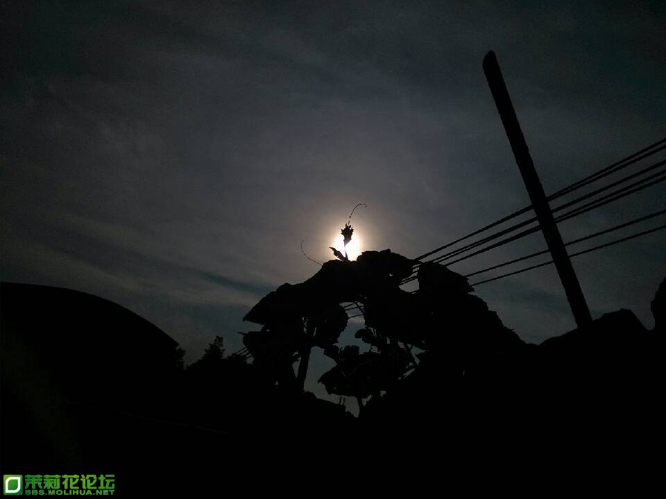 QQ图片20130606230844.jpg