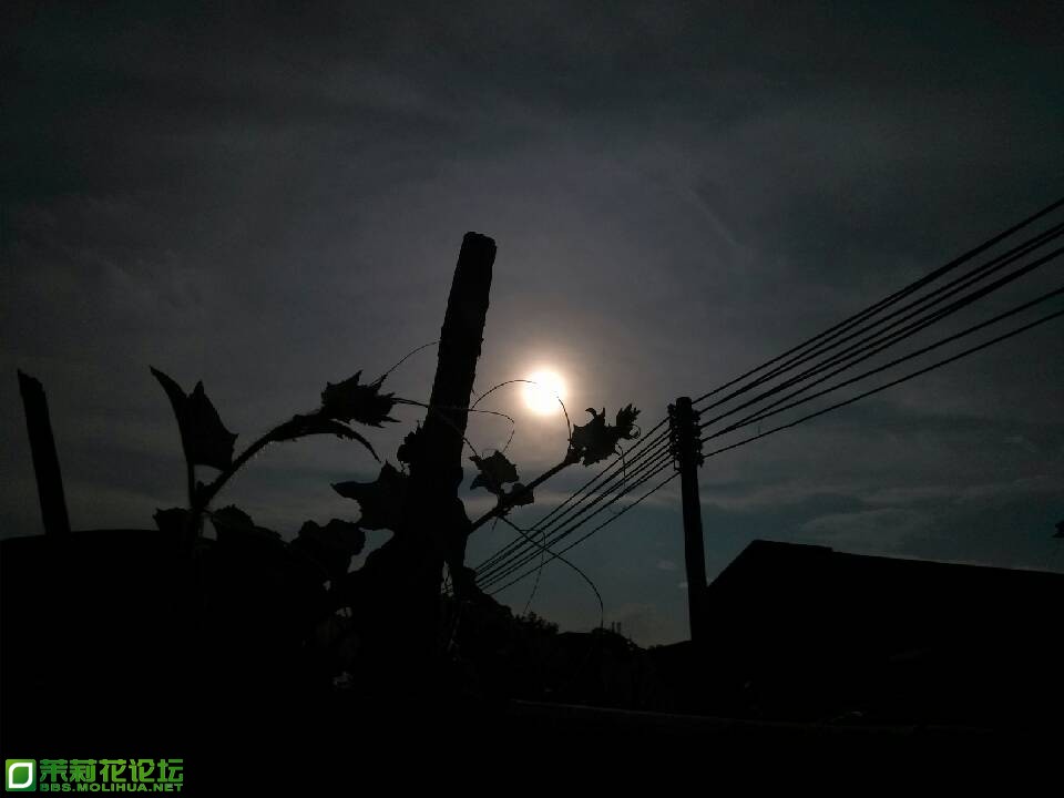 QQ图片20130606230835.jpg