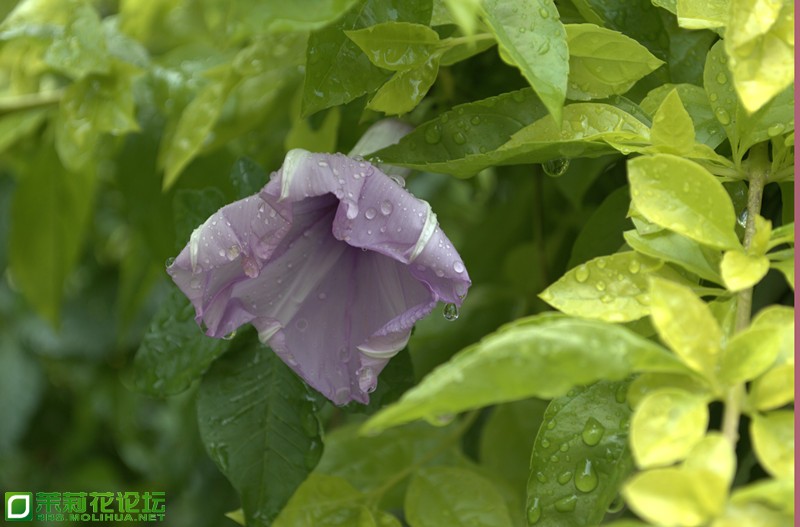 DSC_0330_副本.jpg