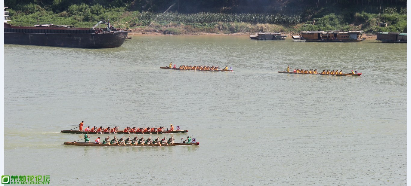 QQ图片20130612171544.jpg