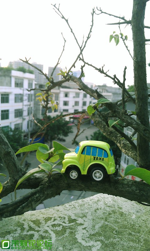 IMAG2428_副本.jpg
