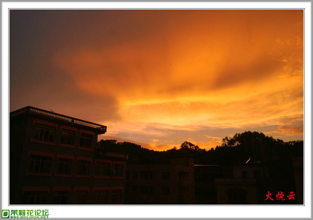 DSC00164_副本.jpg