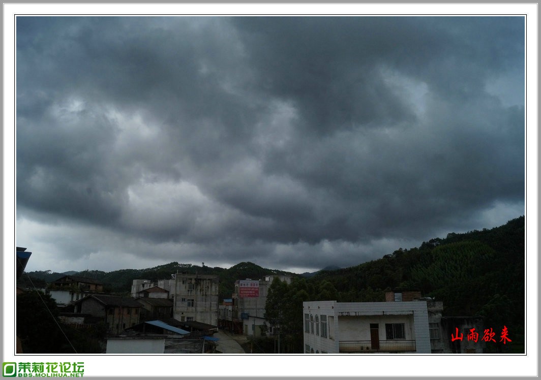 DSC00190.jpg