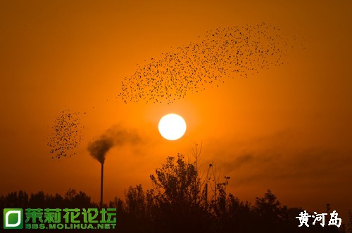 _DSC6984[1].jpg