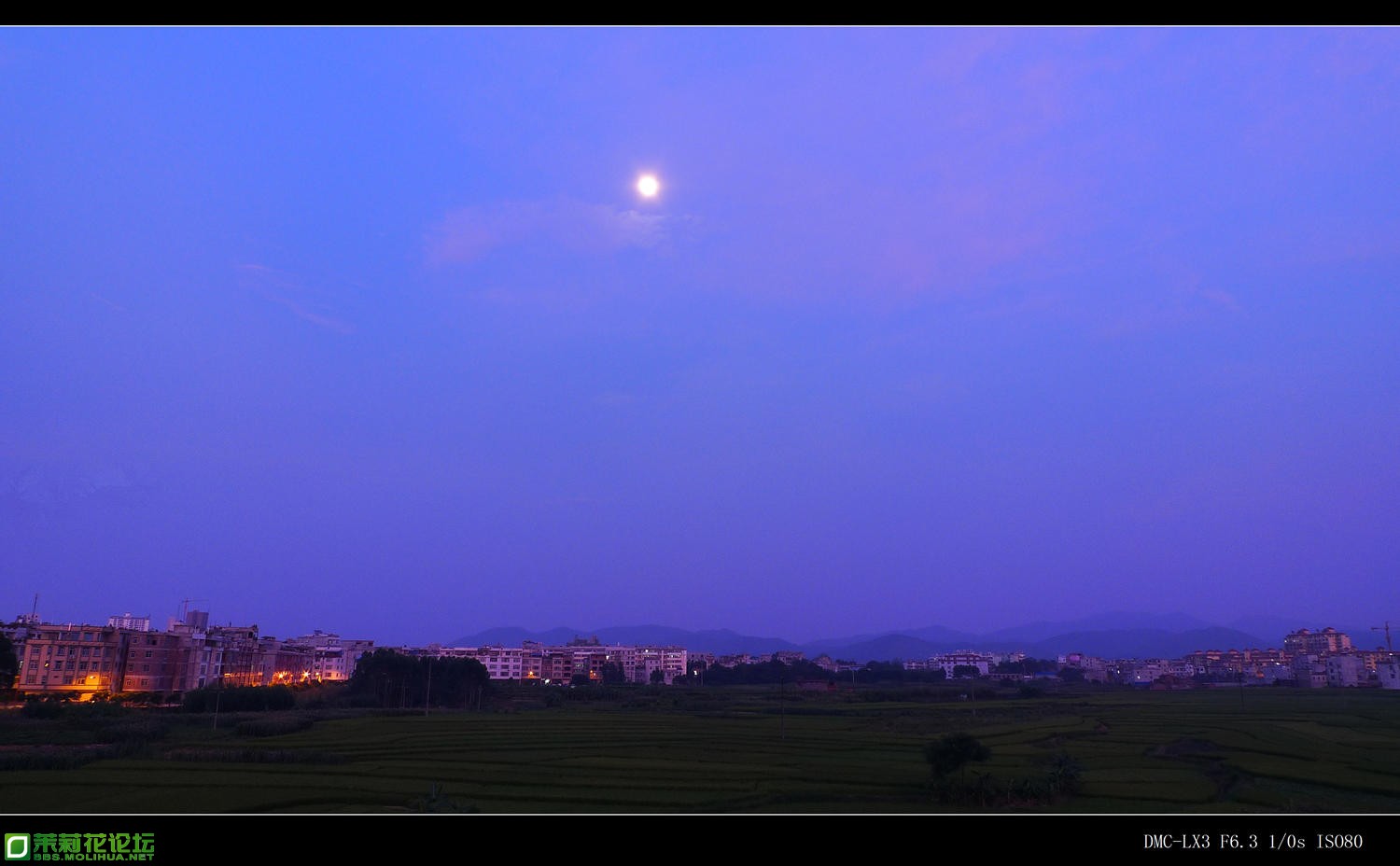 P1050073_副本.jpg