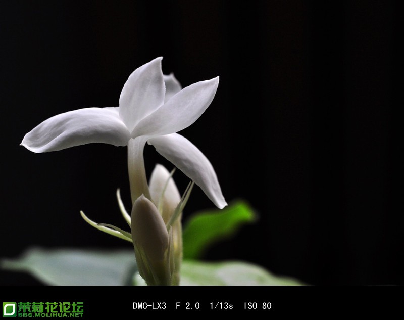 211600939pcjuz77muvfq5_副本.jpg