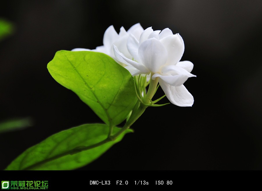 20118320213549_副本.jpg