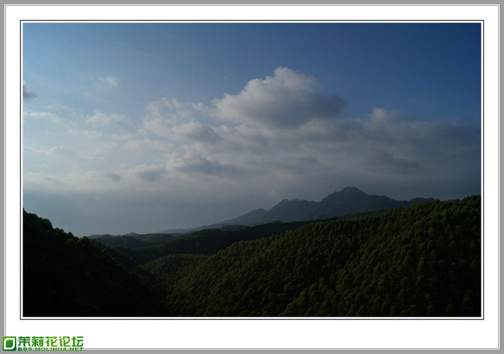 DSC00119.JPG