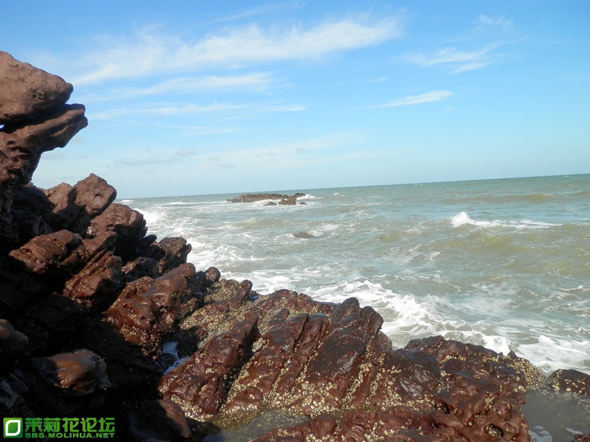 P1010084_副本.jpg
