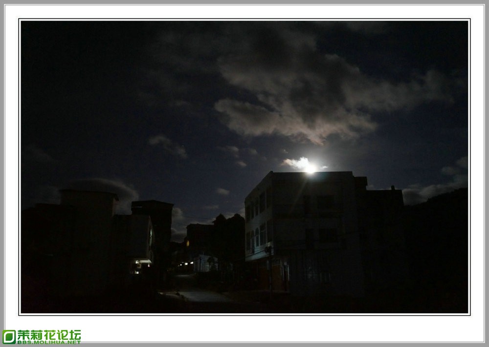 DSC00048.jpg