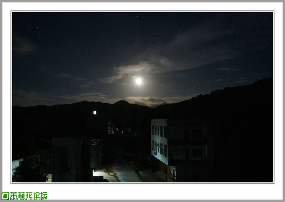 DSC00082.jpg