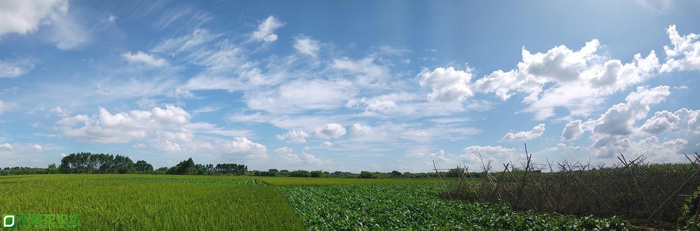 IMGSRC_20130702002511_4.jpg