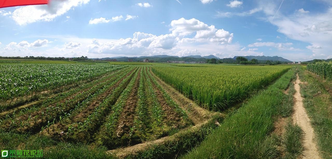 IMGSRC_20130702003150_40.jpg