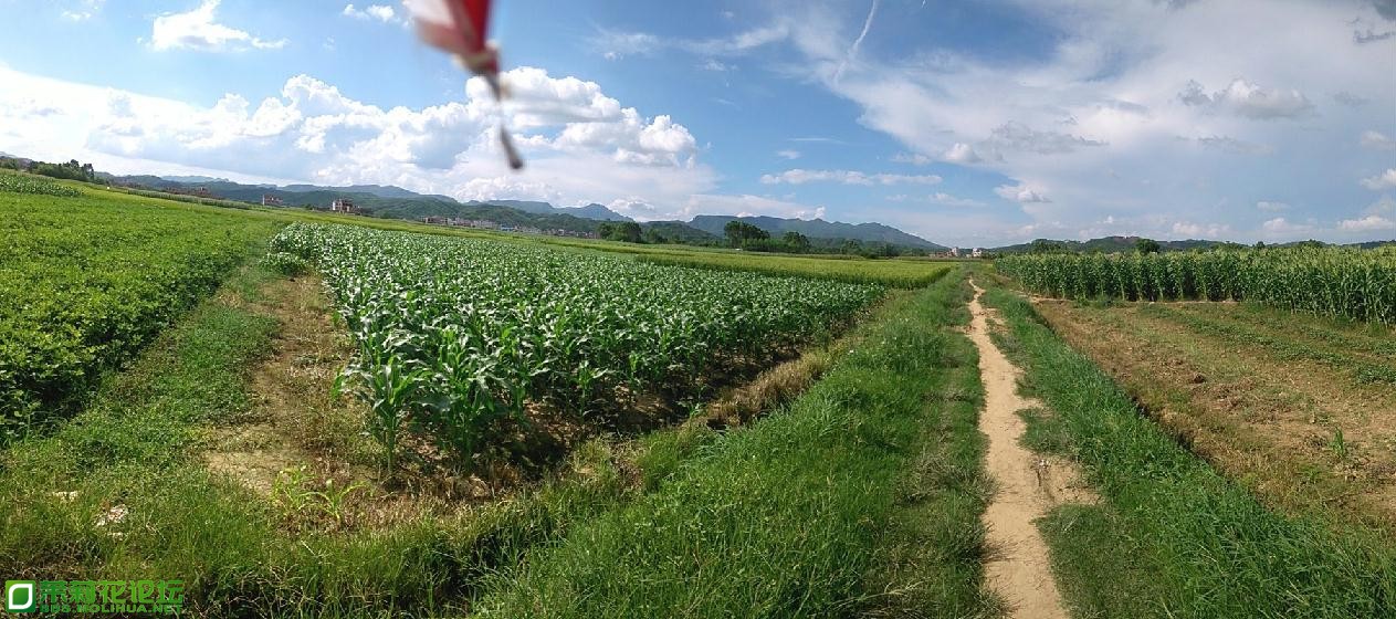 IMGSRC_20130702153611_31.jpg