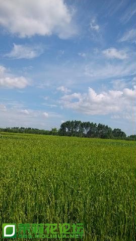 IMGSRC_20130702154147_48.jpg
