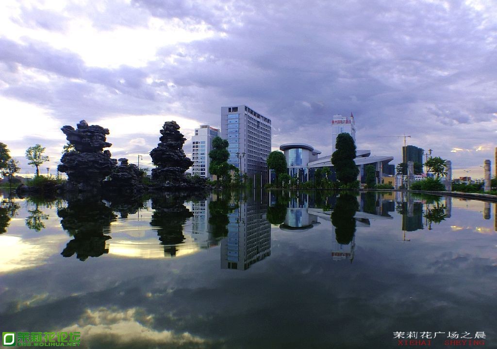 DSCF5423.jpg