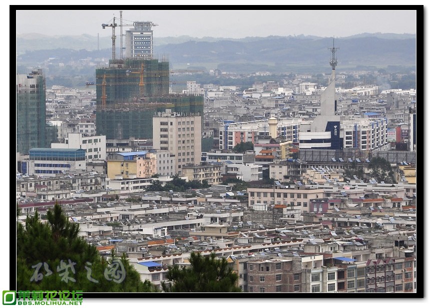 横州全景8.jpg