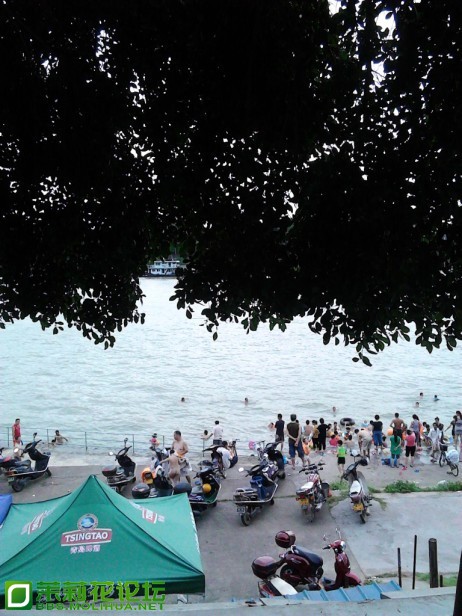 IMG_20130608_184932.jpg