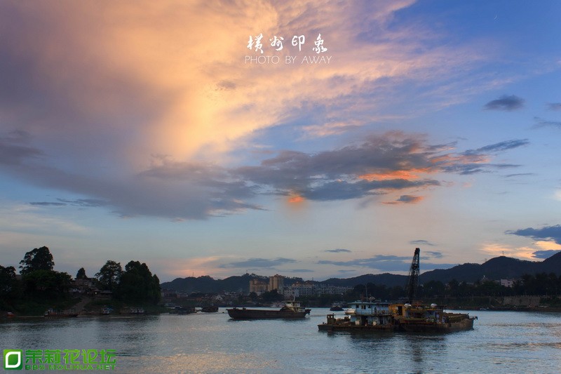 IMG_7730_调整大小.jpg
