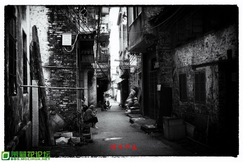 IMG_7675_调整大小.jpg