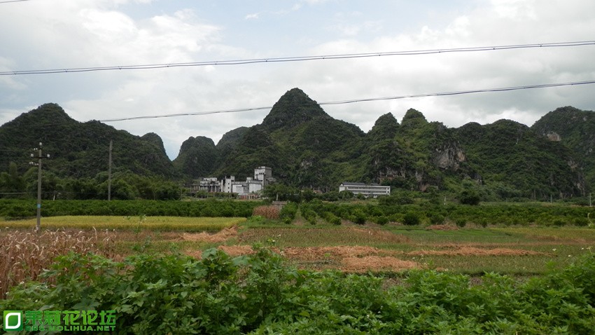P1010685_副本.jpg