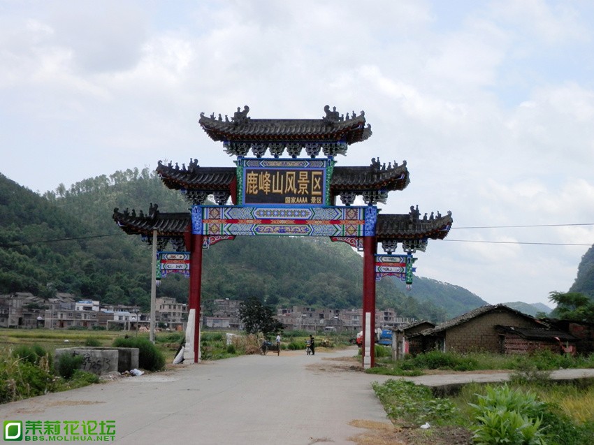 P1010629_副本.jpg