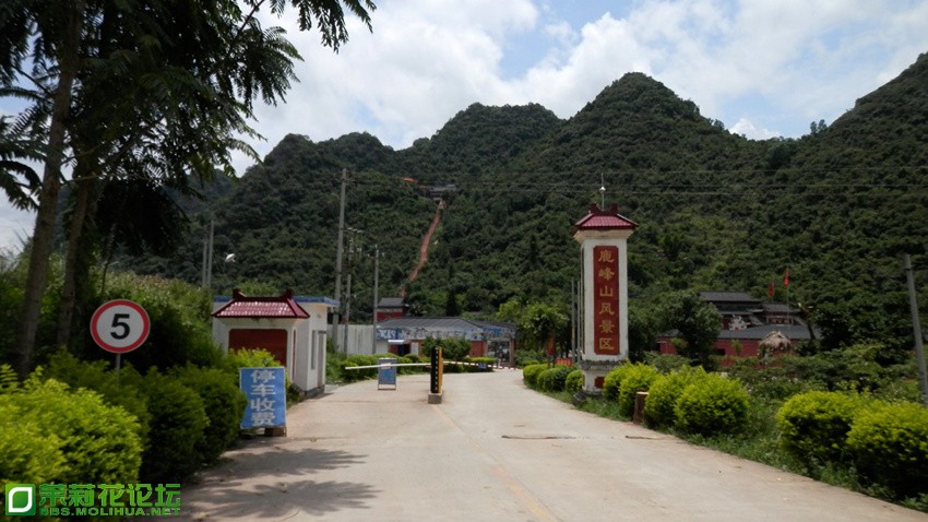 P1010630_副本.jpg