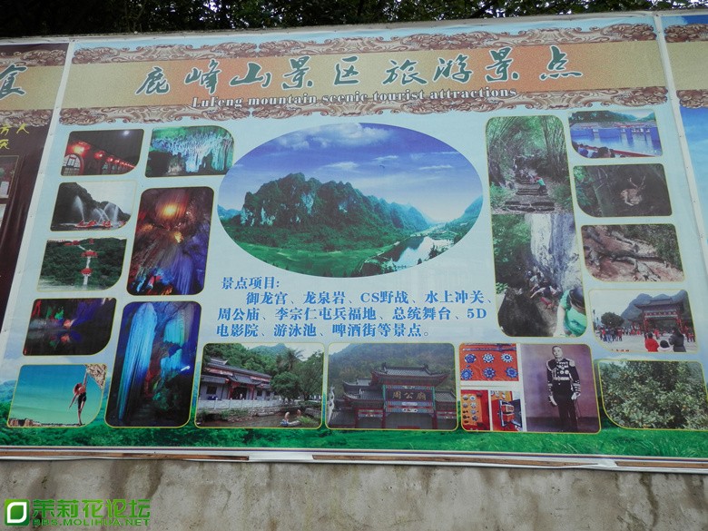 P1010671_副本.jpg