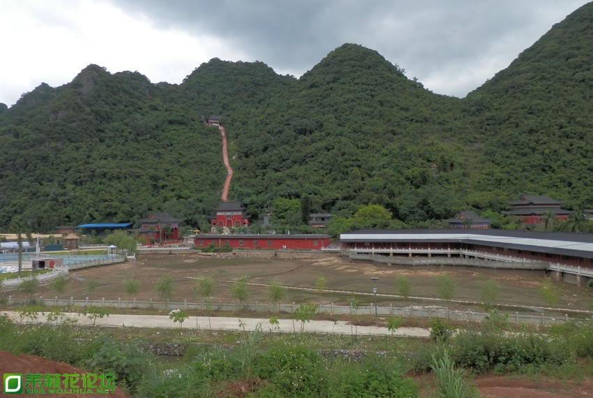 P1010632_副本.jpg