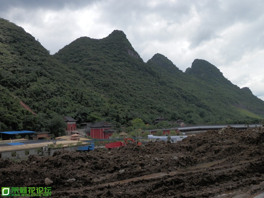 P1010631_副本.jpg