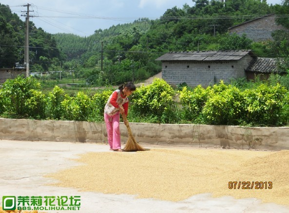 QQ图片20130723101401.jpg