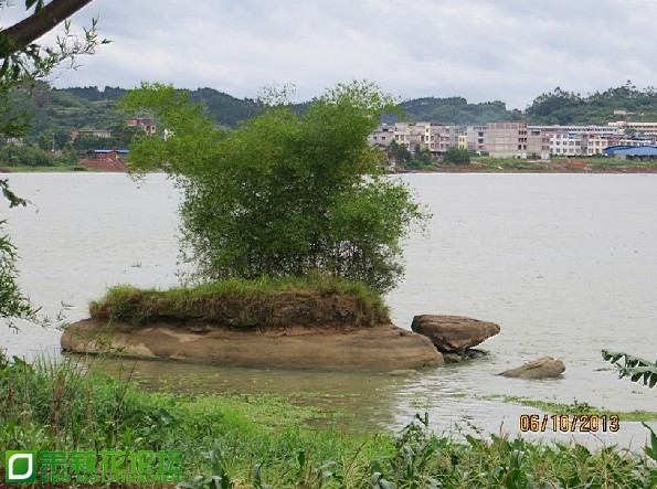 QQ图片20130726205512.jpg