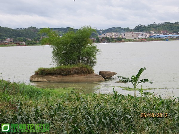 QQ图片20130726205556.jpg