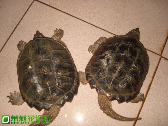 DSC00064_调整大小.JPG