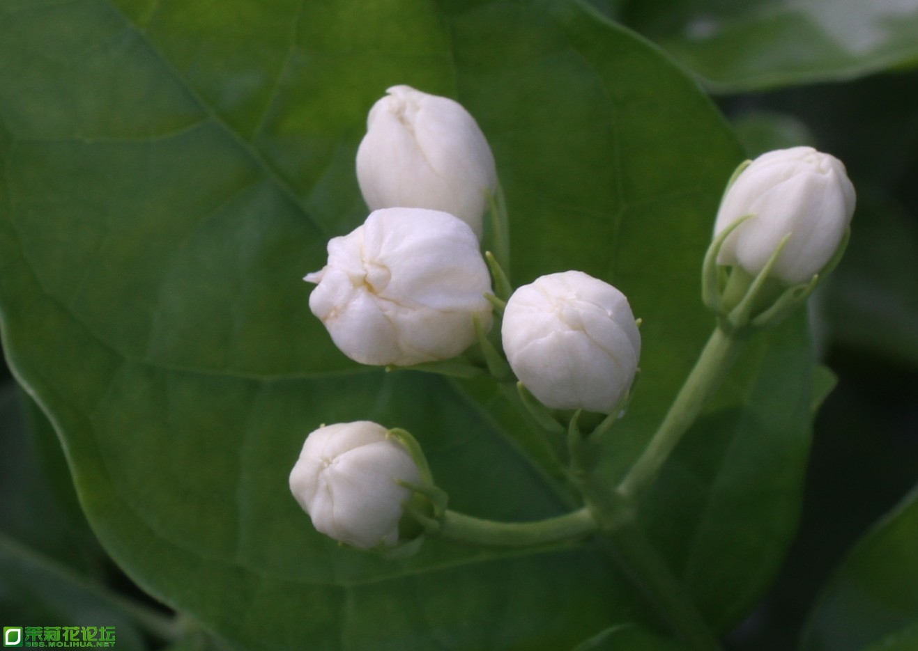 QQ图片20130730234314.jpg